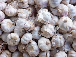 garlic on market