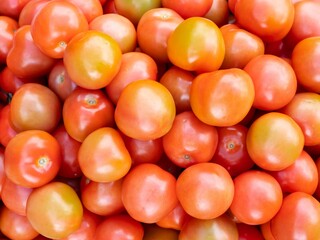 Unripe tomatoes