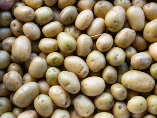 cloose up of white potatoes