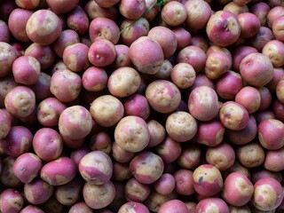 close up of a bunch of onions