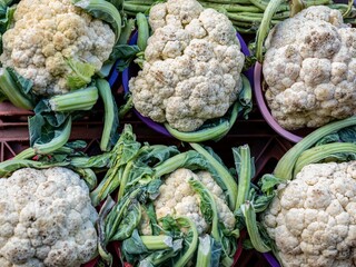 cauliflower and vegetables