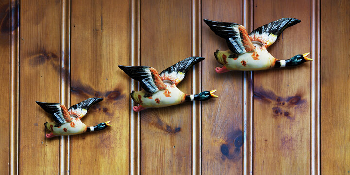 Three Decorative Ducks on Wood Panelling