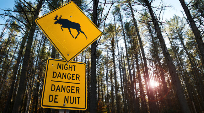 Close-up of moose danger sign, Trans Canada Highway, near Wawa, Ontario, Canada