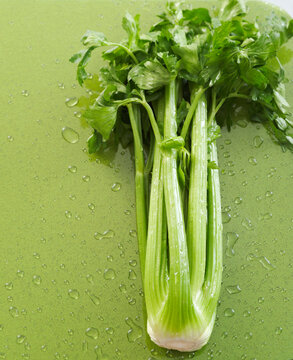 Wet Celery on Green Background