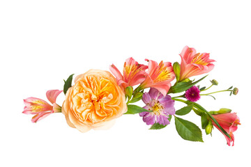  floral layout from peach and orange and purple flowers on a transparent background. Top view, flat...