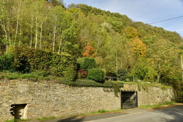 La végétation luxuriante en automne sur la colline au dessus du mur en pierres sèches à Aywaille au sud de Liège