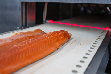 Salmon fillet on the processing line.