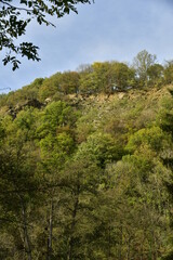 Pans rocheux verticaux émergeant de la végétation luxuriante et sauvage dominant la vallée de l'Amblève à Aywaille 