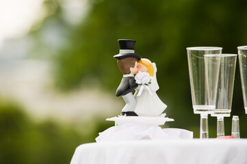 Wedding Cake Topper and Champagne Glasses