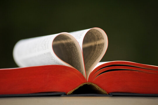Book