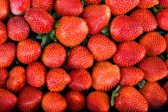 Close-up of Strawberries