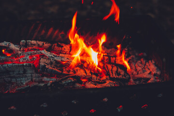 Fototapeta na wymiar Beautiful bonfire with burning firewood in forest