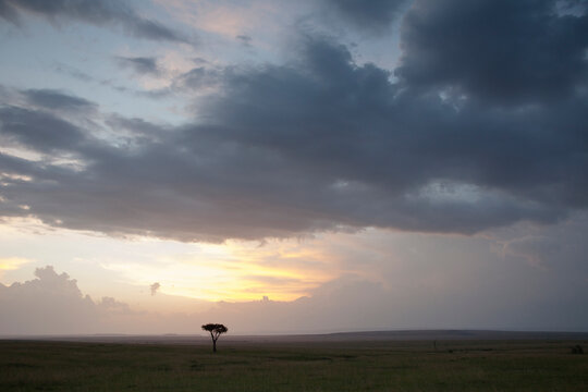 Storm Clouds over African Plains, Masai Mara National Reserve, Kenya