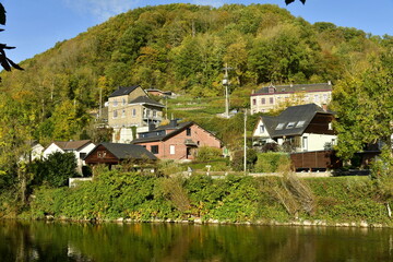 Fototapeta premium L'Ourthe coulant dans un environnement bucolique en automne à Aywaille 