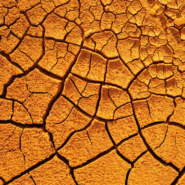 Dry Cracked Earth