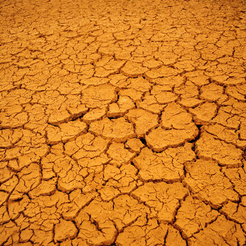 Arid Cracked Earth