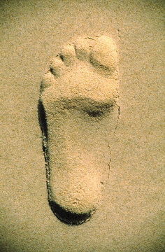 Footprint in Sand