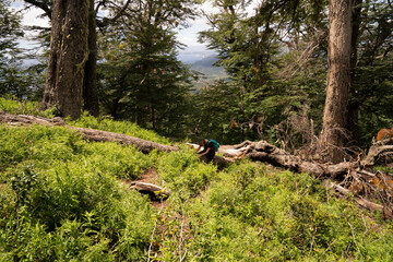 Hiking in the mountain forest. View of a young female hiker resting on the trunk of a fallen tree. 