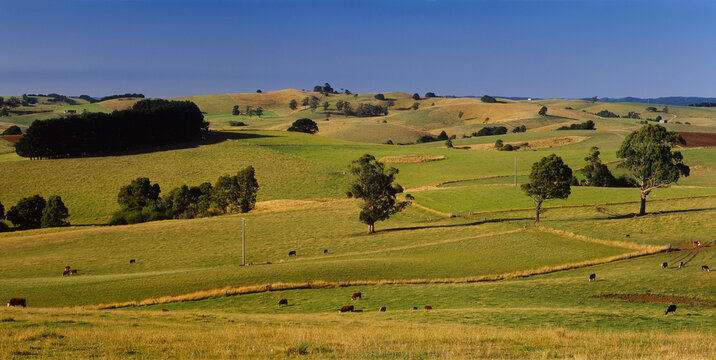 Fields, Gippsland, Victoria, Australia