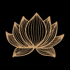 black and white lotus