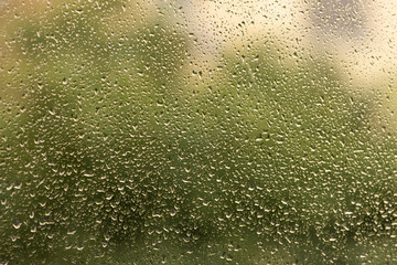 Fototapeta na wymiar Water droplets on glass against a green blurred background