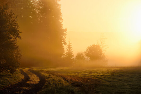 Landscape at sunrise, glowing on an early, foggy morning, Bavarian Forest National Park, Bavaria, Germany