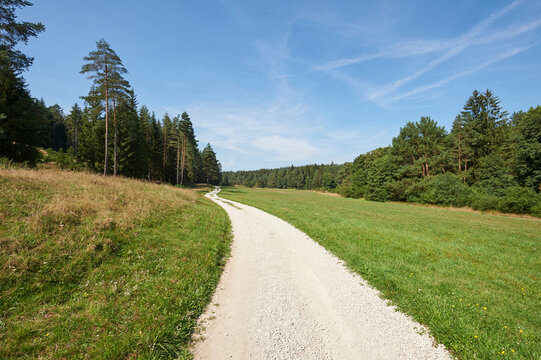 Landscape with Trail going between Forest and Meadows in Late Summer, Upper Palatinate, Bavaria, Germany