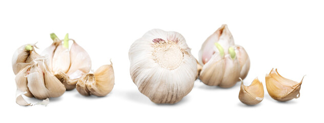 Garlics isolated on white background