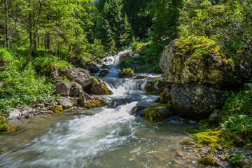 Stream in the Grosswalsertal, Marultal, at Laguzbach, State of Vorarlberg, Austria