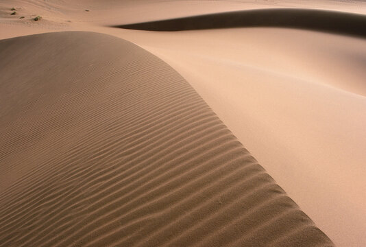 Ripples Across Sand Dune, Namibia