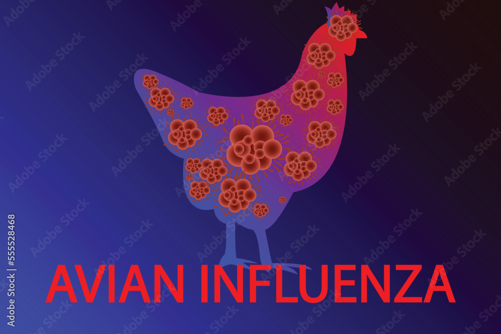 Wall mural Avian influenza vector illustration. Bird flu virus illustration. H5N1 and H3N8 bird flu epidemic disease. pandemic danger. Viruses from animals to people	