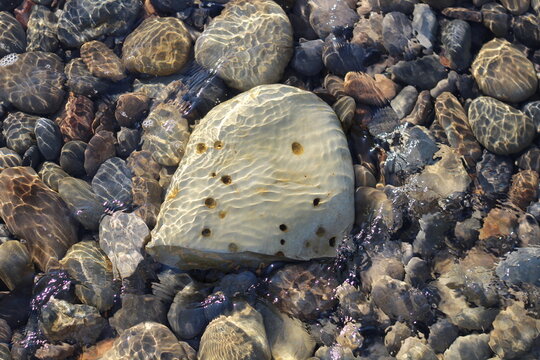 Stones lying on the bottom of the sea, trembling water and blurring of the image.