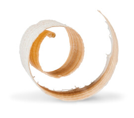 Wooden curly Shavings, Wood Chip