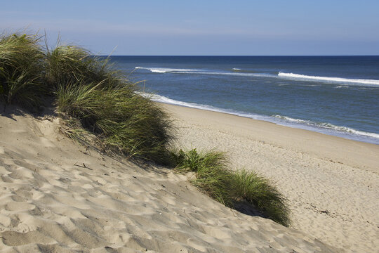 Sand Dunes, Marconi Beach, Cape Cod National Seashore, Wellfleet, Cape Cod, Massachusetts, USA