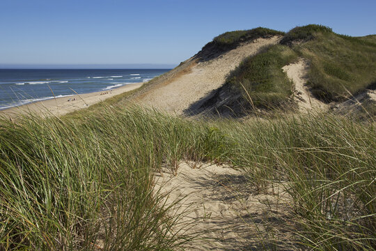 Sand Dunes, Marconi Beach, Cape Cod National Seashore, Wellfleet, Cape Cod, Massachusetts, USA