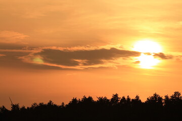 Fototapeta premium sunset in the field