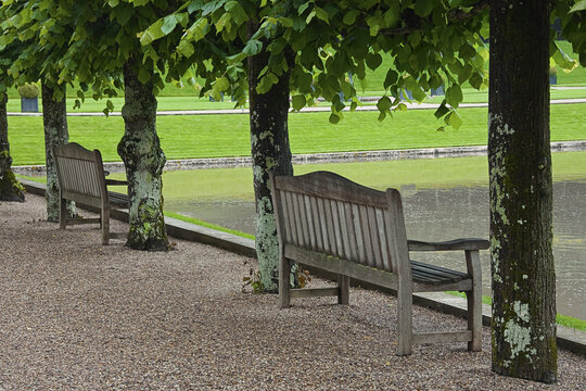 Garden, Chateau de Villandry, Villandry, Indre-et-Loire, Loire Valley, France