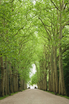 Walkway, Chateau de Chenonceau, Chenonceaux, Indre-et-Loire, Loire Valley, France