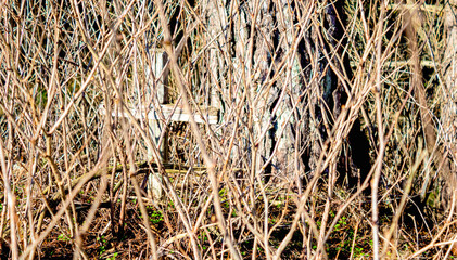 Small wooden cross with Jesus in the middle of green foliage of different trees.