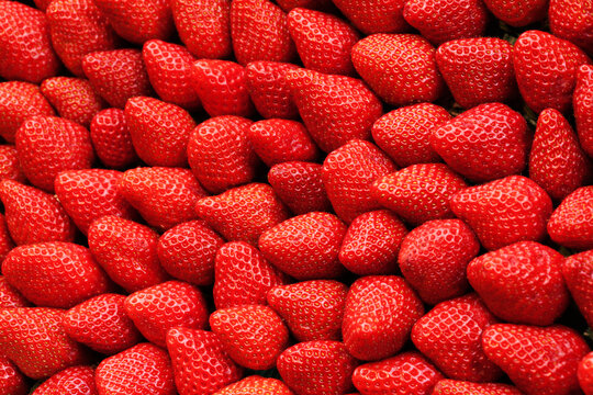 Strawberries, Rue Cler Market, 7th Arrondissement, Paris, Ile-de-France, France