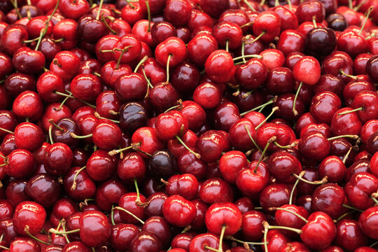 Cherries, Rue Cler Market, 7th Arrondissement, Paris, Ile-de-France, France