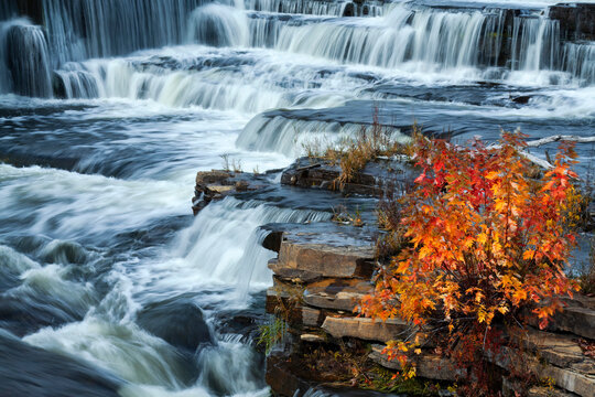 Waterfalls, Mississippi River, maple tree, Autumn, Almonte, Ontario, Canada