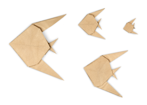 Beautiful colored fish origami from the paper