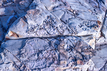 unusual rock formations