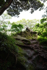 建長寺、鎌倉、お寺、天園ハイキングコース、天園、ハイキング、コース、山、風景、景色、門、寺、仏教、木、緑、葉、自然、庭、日本、日本庭園、芝生、ウォーキング、