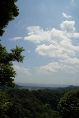 Obraz premium 建長寺、鎌倉、お寺、天園ハイキングコース、天園、ハイキング、コース、山、風景、景色、門、寺、仏教、木、緑、葉、自然、庭、日本、日本庭園、芝生、ウォーキング、