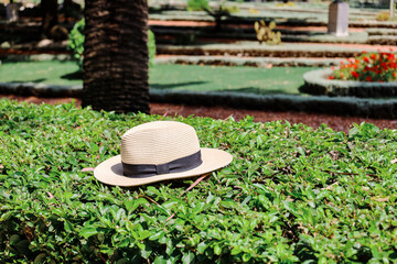 Wicker hat on green bush in park