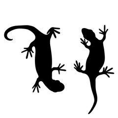 Set of lizards reptile gecko black silhouette vector illustration. Simple black silhouette illustration isolated on white background. Template for books, stickers, posters, cards, clothes.