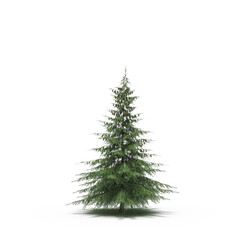Fototapeta premium large tree with a shadow under it, isolated on white background, 3D illustration, cg render 
