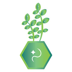 Isolated green indoor plant icon Vector